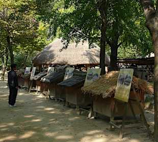 Darstellung von Dächern