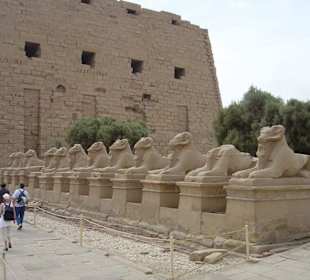Eingang zum Karnak Tempel