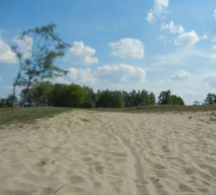 Naturschutzgebiet Boberger Niederung