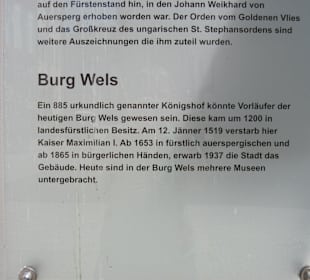 Info Burg Wels