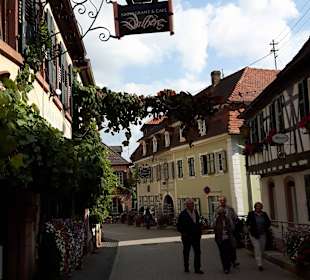Altstadt St. Martin