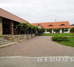 Bašta s peknou terasou