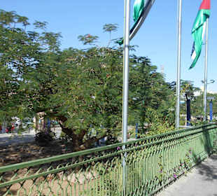 Prinzessin Salma Park