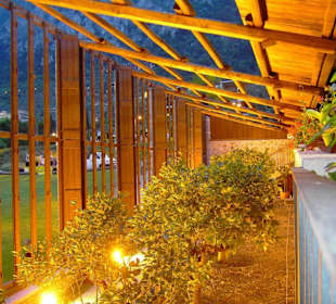 Zitronenhain in Limone