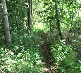 Wanderrunde Emeringen zum Rechtenstein