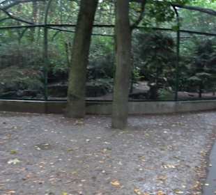 Tierpark 