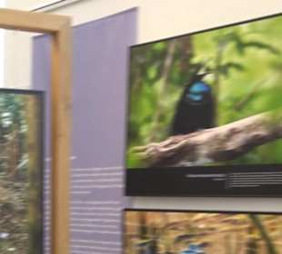 Museum für Ur- und Frühgeschichte