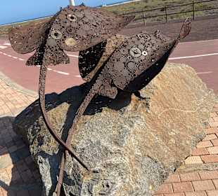 Stadtrundgang Jandia / Playa de Jandia