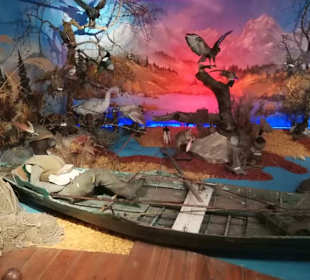 Alpen Wildpark Feld am See