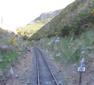 Mitder Taileri Railway durch die Natur Neuseelands