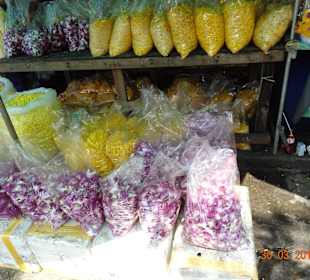 Blumen wohin das Auge sieht