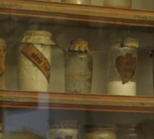 Besichtigung der Kartause von Valldemossas