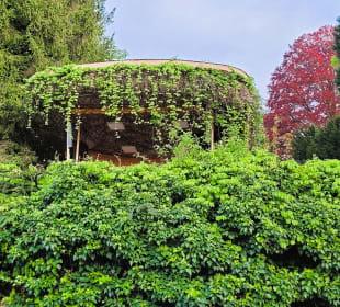 Bühne