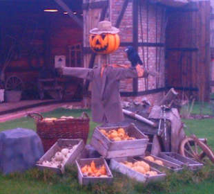 Erlebnishof Erdbeerdorf