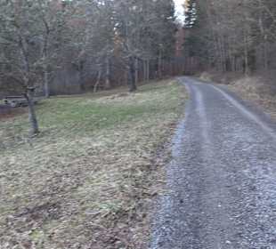 Wanderung rund um den Ochsenweiher