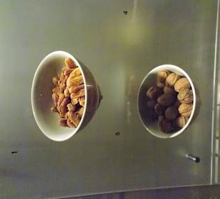 Экспонат исторического музея Шарджи