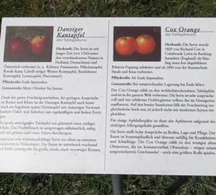 Streuobstwiesen der Hopfenburg