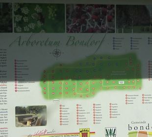Arboretum Bondorf