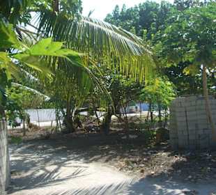 Einheimischeninsel Himmafushi billiger leben