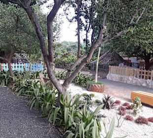 Botanischer Garten Viveiro	