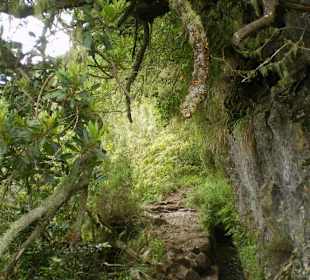 Lavada na ribeiro frio