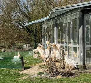 Tiergarten Straubing