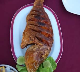 Lecker Coralfish bei Anthony