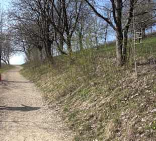 Wanderung Florianrunde