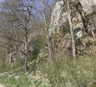 Waldlehrpfad an der Lauter