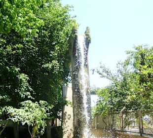 Wasserfall