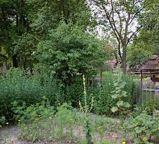 Muzeum Wsi Lubelskiej