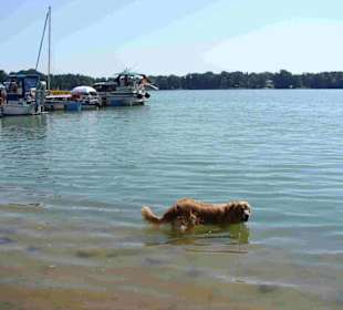 Boote am Scharmützelsee