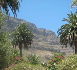 Tal der tausend Palmen, Safari Jeep Tour 