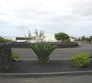 Zufahrtstrasse zum Haus