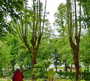 Sisi-Park