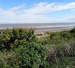 Von der Strecke sieht man das Meer