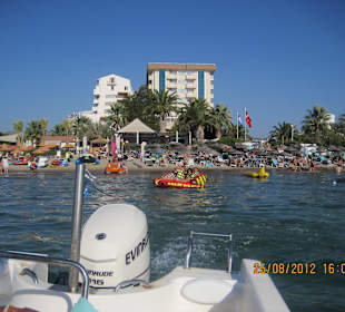 Banane und viel mehr