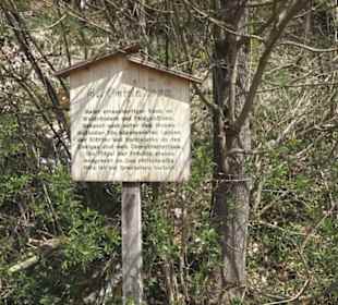 Waldlehrpfad an der Lauter