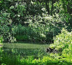 Eindrücke vom Rundgang am Krimpelsee