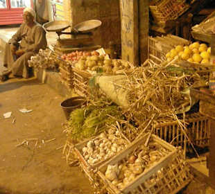 Safaga Centre - garlic days