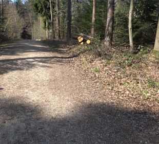 Wanderung Florianrunde