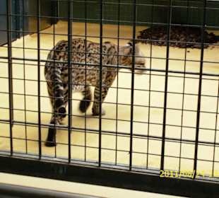 Besuch im Berliner Zoo