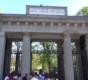Real Jardín Botánico