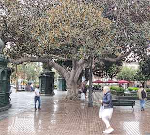 Stadtrundgang Meloneras