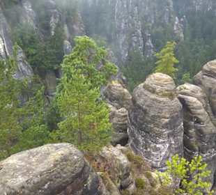 Felsenburg Neurathen