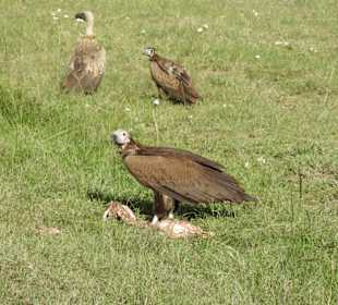 Ein Stück für mich