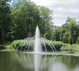 Schwanenweiher
