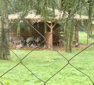 Zoo Olomouc