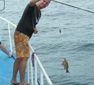 Ist der nicht süß?