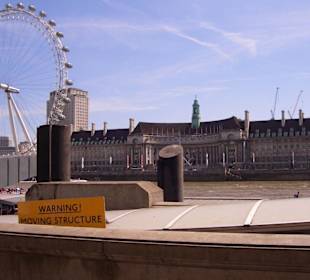 London Aquarium und Eye